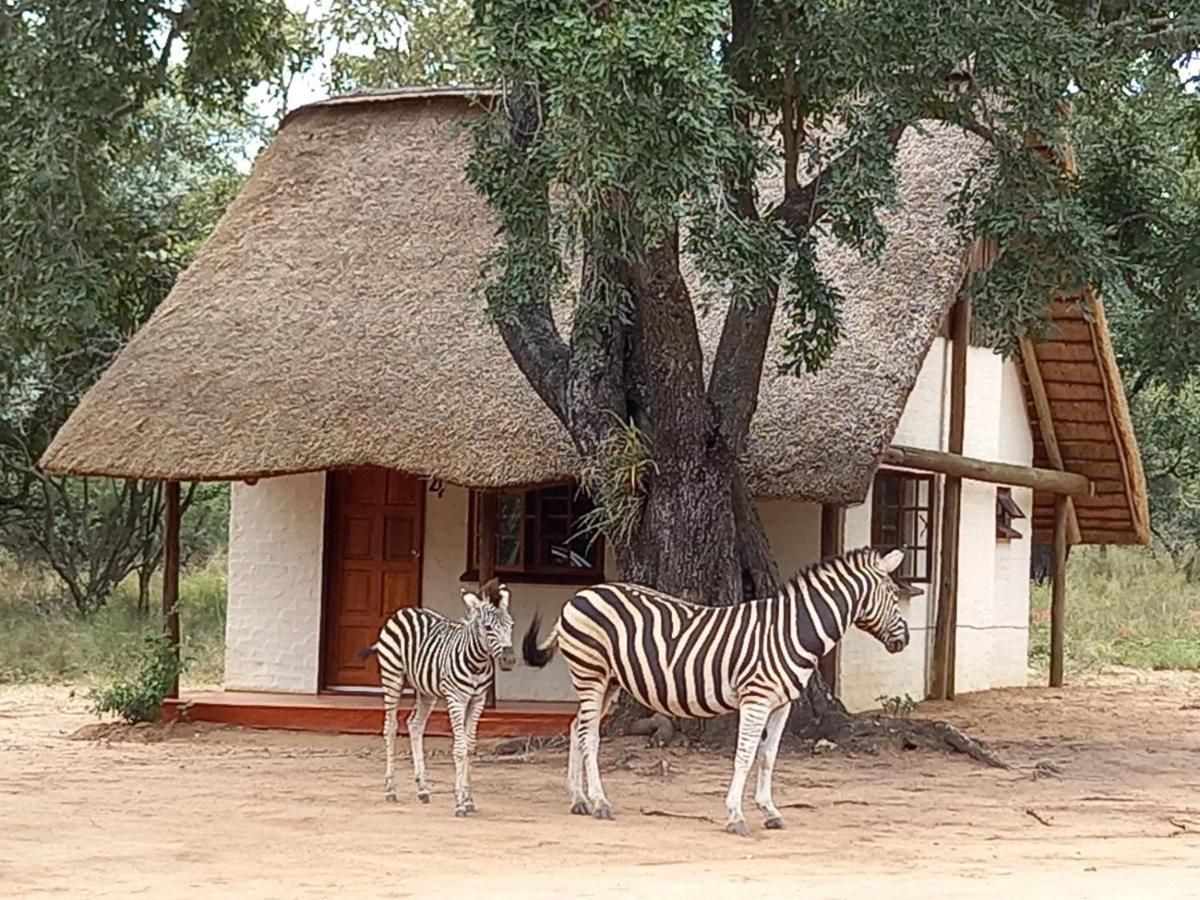 Wild Ride Safaris And Bush Camp Villa Hoedspruit Exterior photo