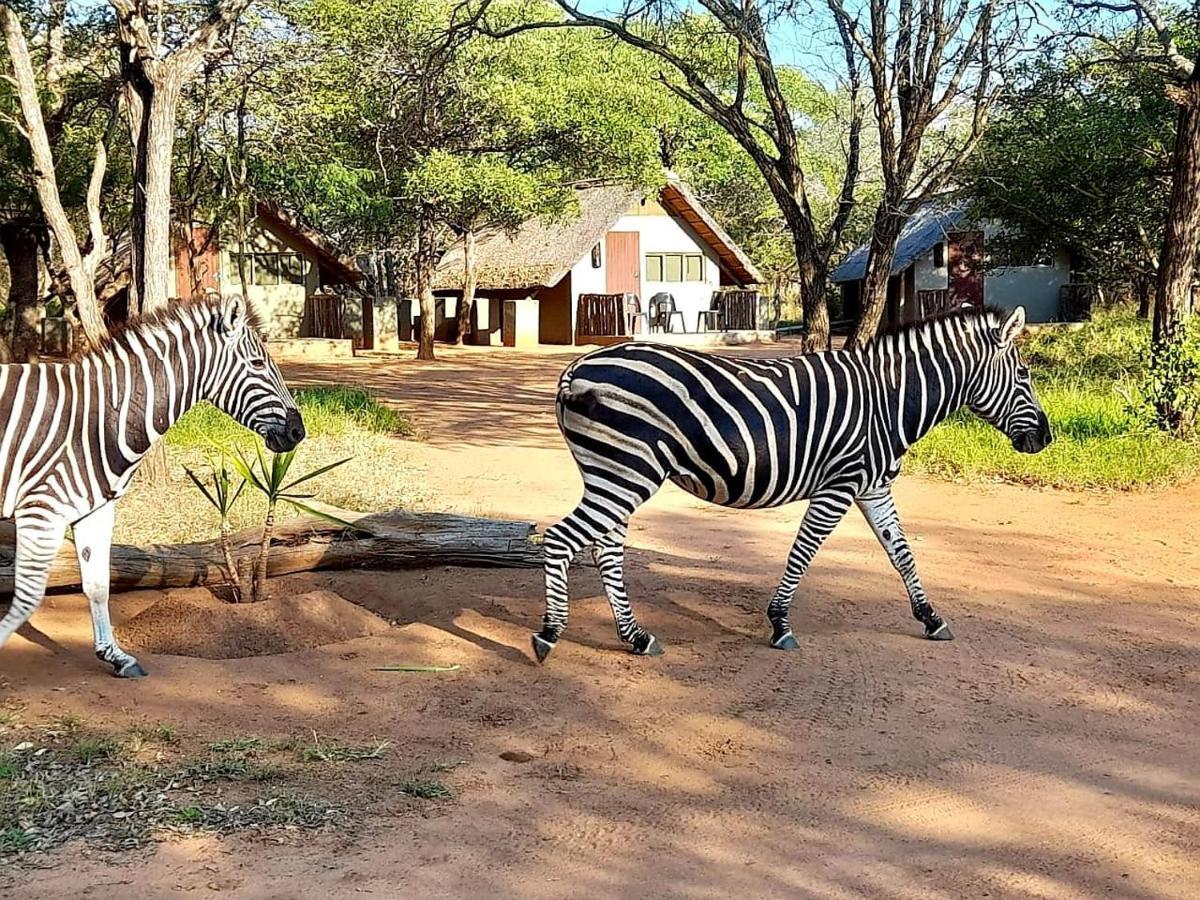 Wild Ride Safaris And Bush Camp Villa Hoedspruit Exterior photo